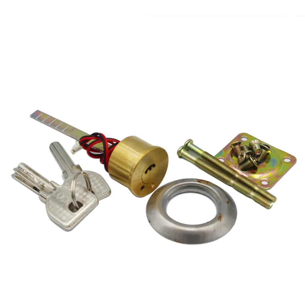 LUCKING-Electronic Door Lock, Access Entry Security System, Anti-Theft, Electric Rim Lock, Metal Door Gate, DC12V