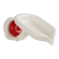 Soaps Dish For Shower Rapid Self-Draining System Keeps Soaps Dry. Modern Bathroom Essential